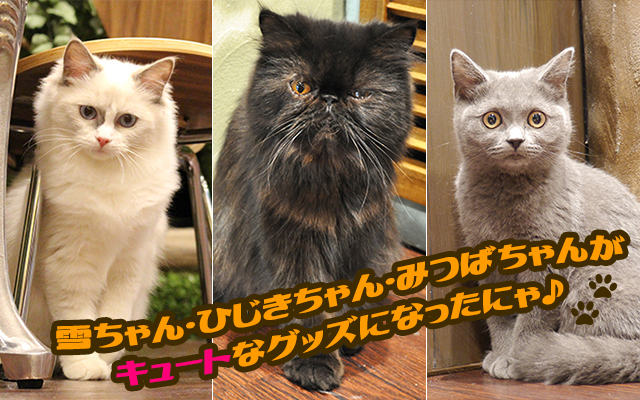 ミネット総選挙