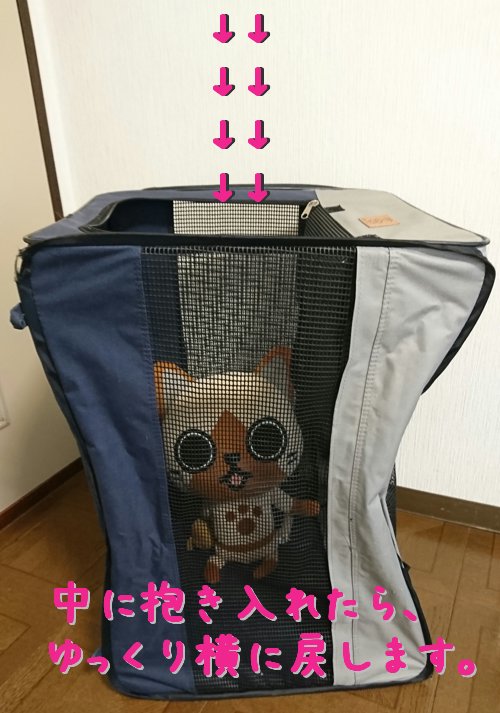 キャリーバッグ 嫌がる