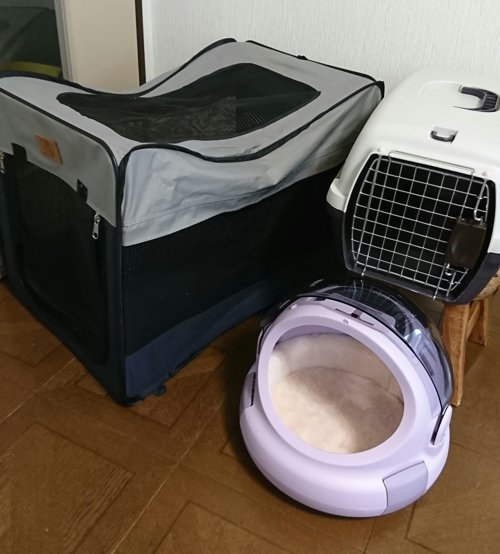 キャリーバッグ 嫌がる