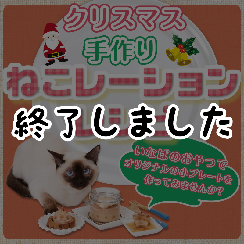 レシピにちゅ るを使うだけ クリスマスに可愛いワンプレートを作りませんか いなばネコレーションレシピ 猫の総合情報サイト ペットスマイルニュースforネコちゃん