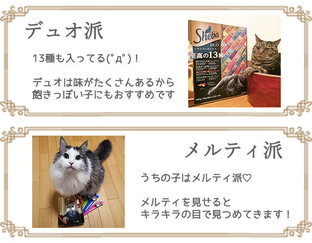 投稿例