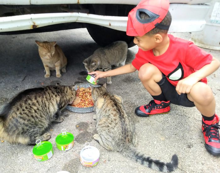 little-boy-superhero-costumes-street-cats-kolony-kats-6-59ed916772e23__700
