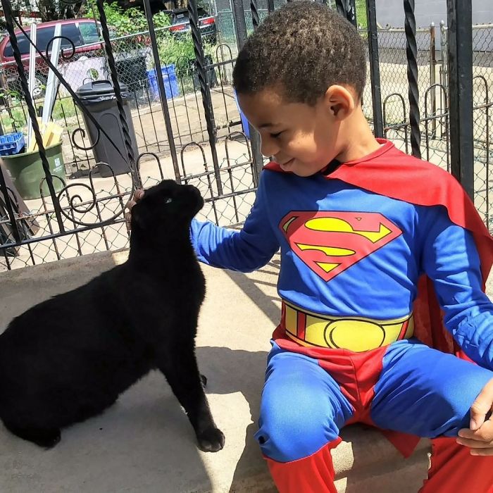 little-boy-superhero-costumes-street-cats-kolony-kats-8-59ed916c6ddde__700