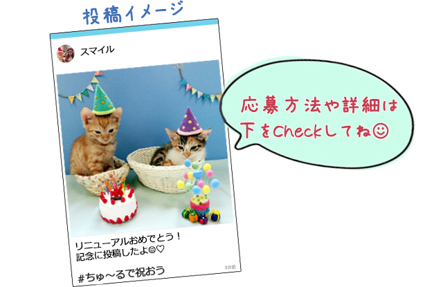 詳細をみてね_猫