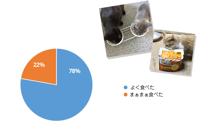 食いつき_写真あり