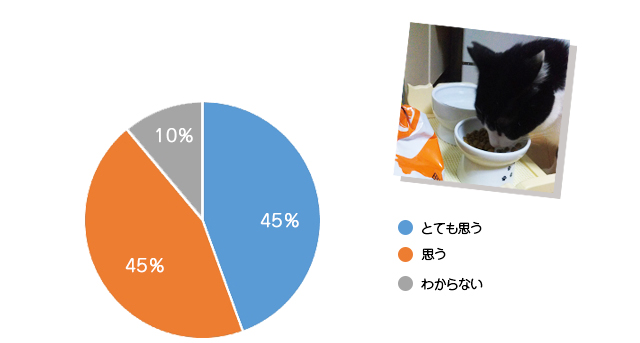 また食べたい