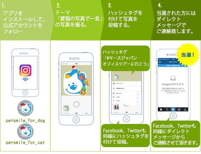 投稿流れ