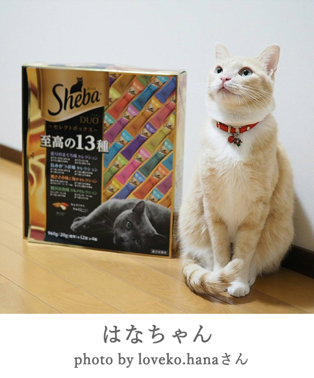 はな