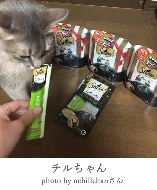チル