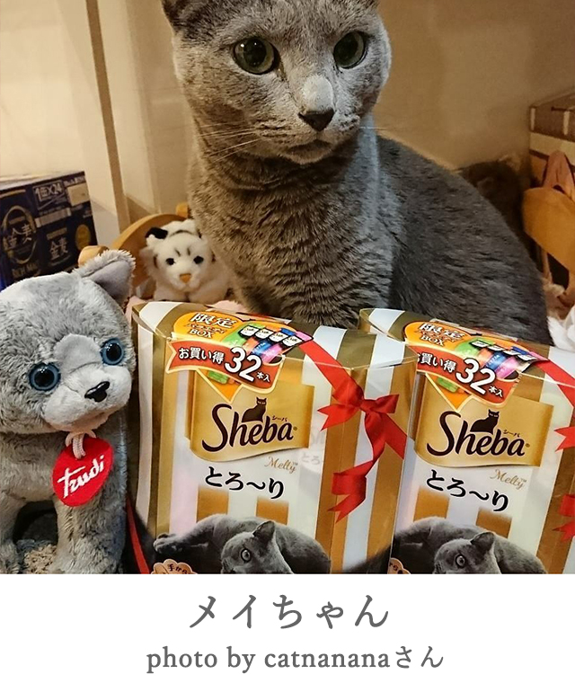 メイ