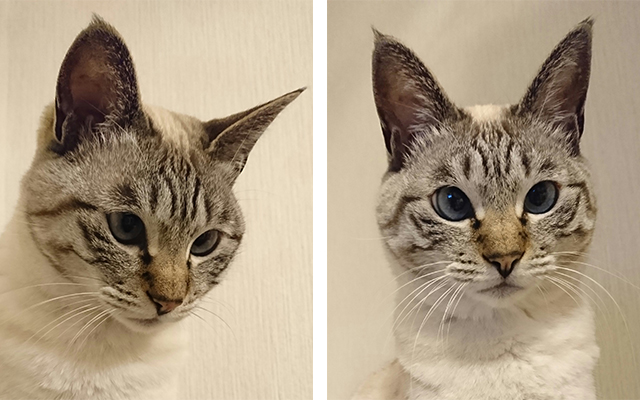 フラン