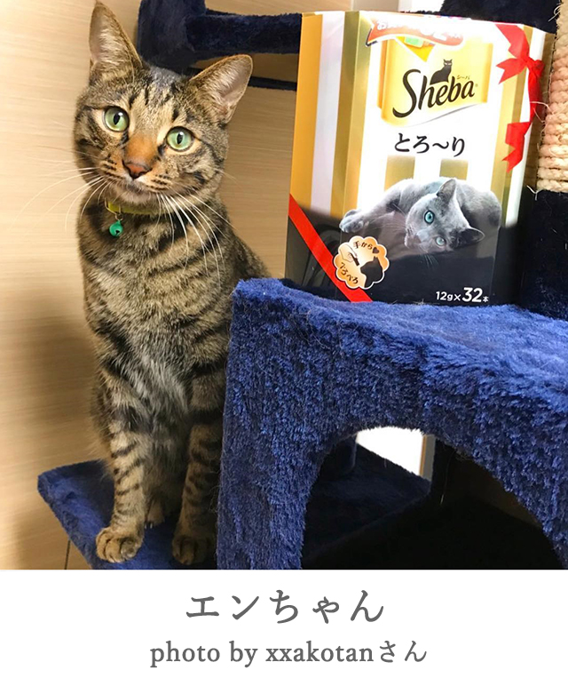 エンちゃん