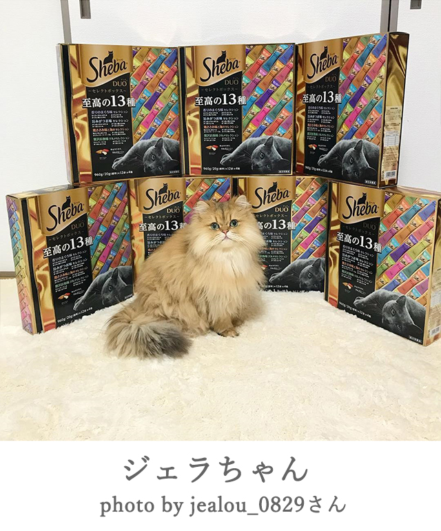 ジェラ