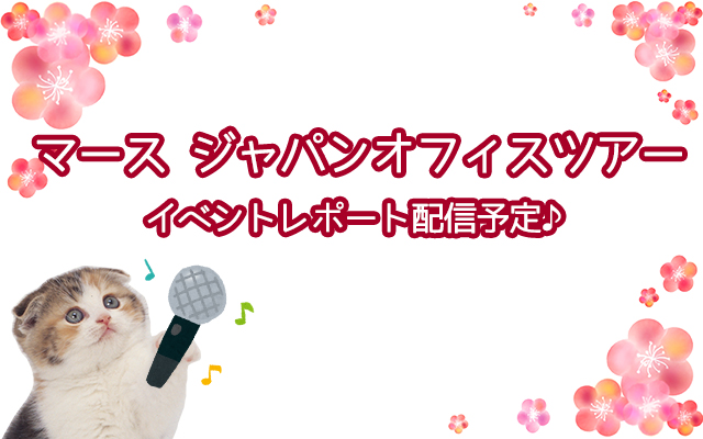レポート