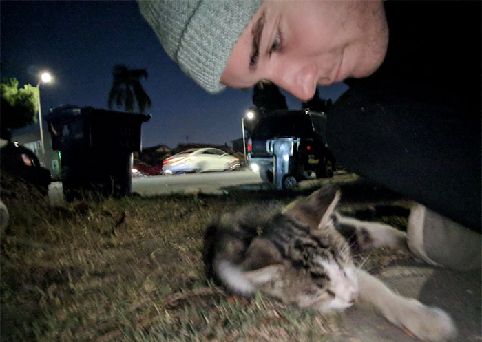 street-cat-follow-human-socks-2