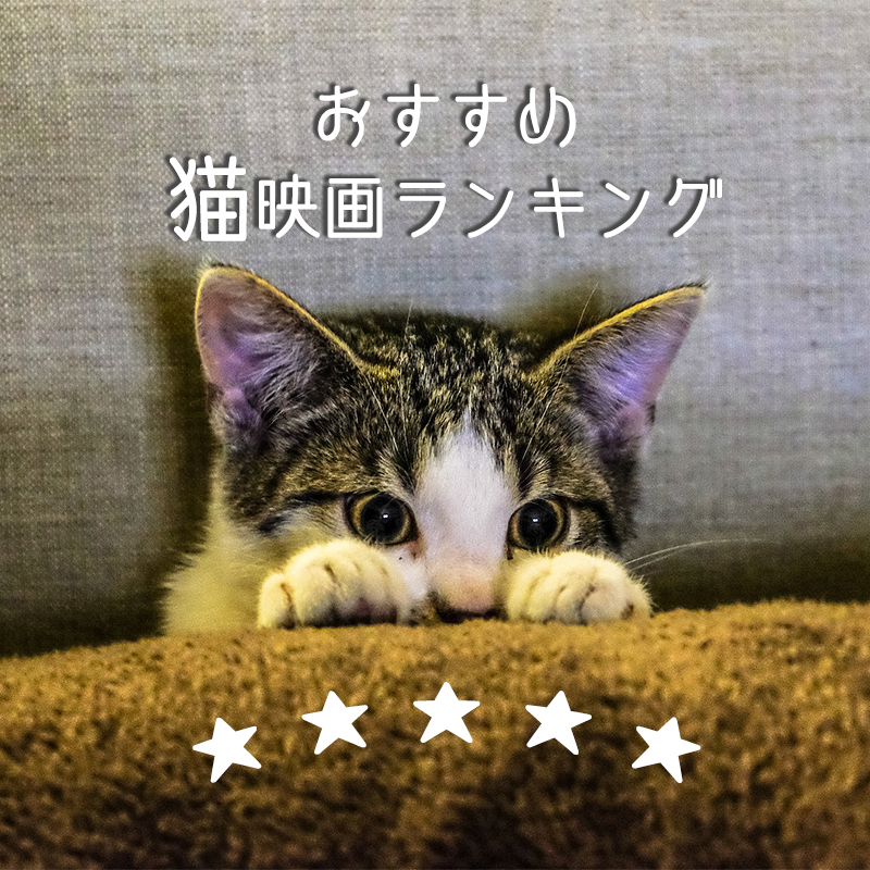 猫の映画 邦画 洋画 アニメ別 おすすめ猫映画ランキングtop5