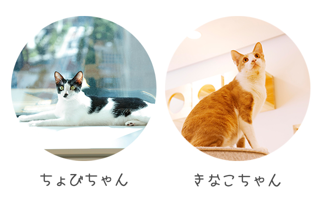 名称未設定 1