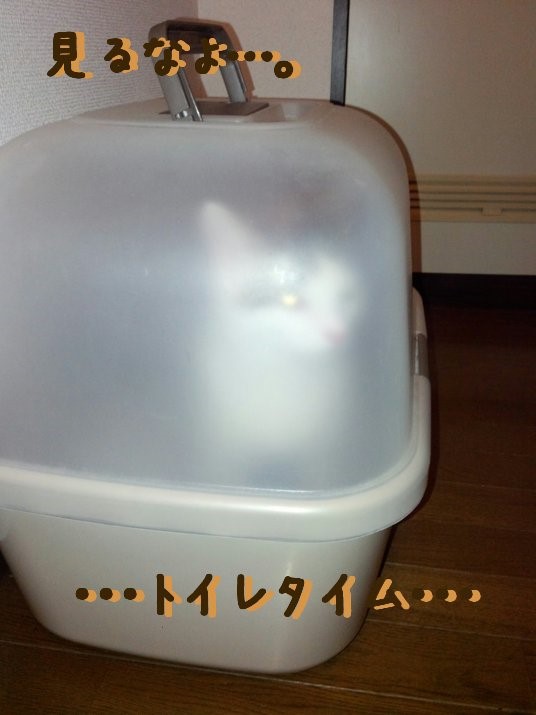 image007
