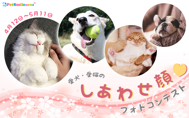 siawase