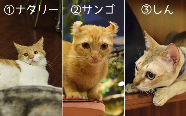 名称未設定 1