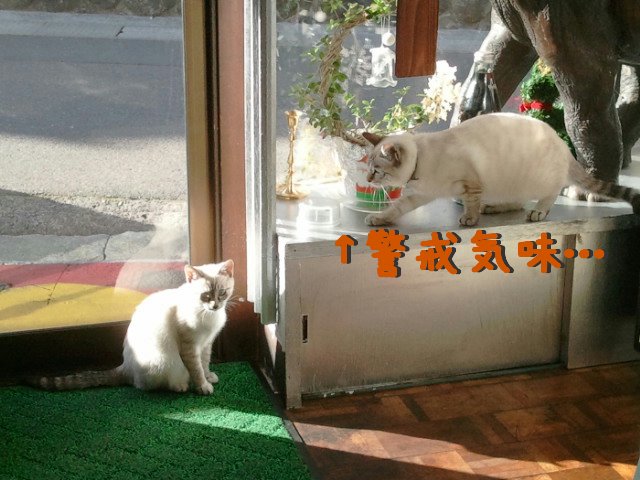 image007