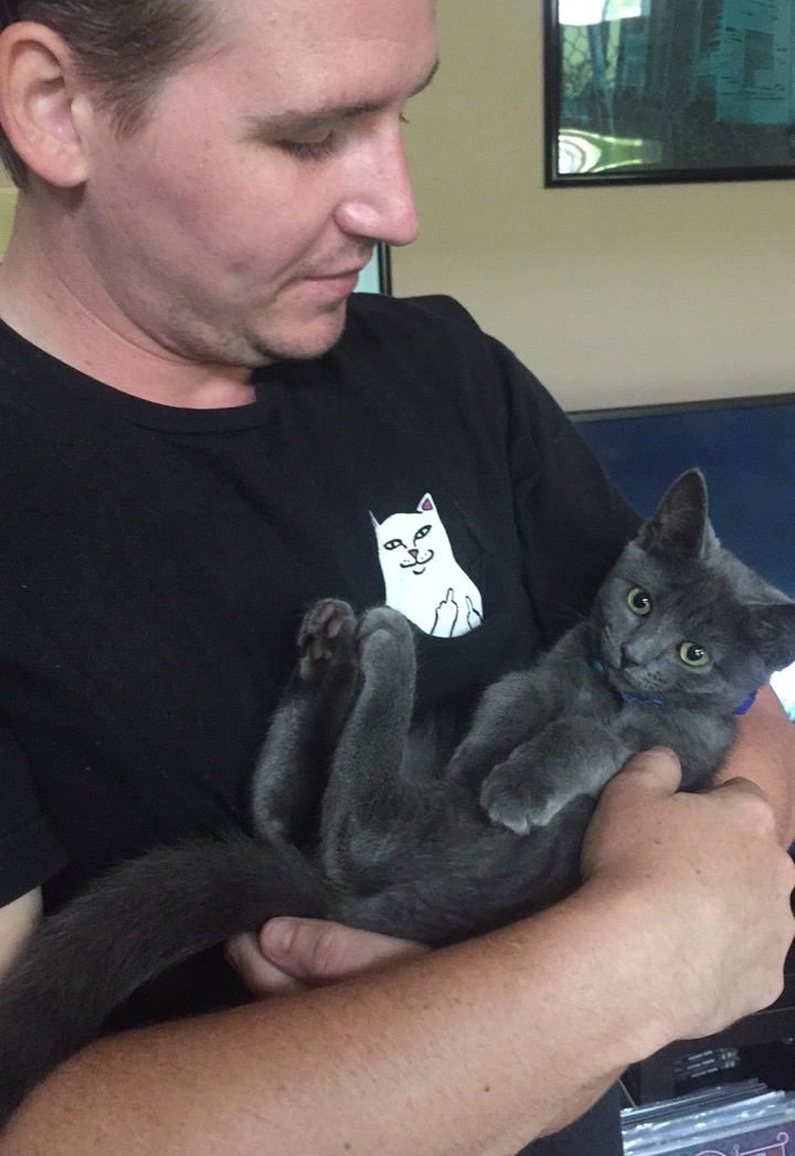 猫,海外エンタメ,スペースキャット