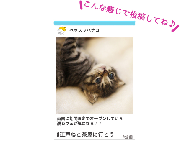 投稿イメージ