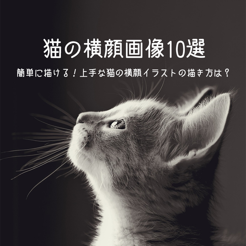 猫の横顔画像10選 簡単に描ける 上手な猫の横顔イラストの描き方は