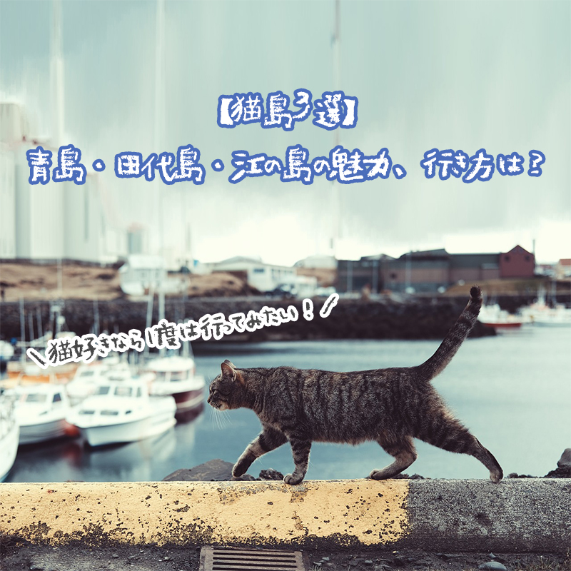 【猫島3選】青島・田代島・江の島の魅力、行き方は？猫好きなら1度は行ってみたい！