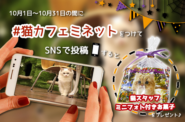 ミネットハロウィン