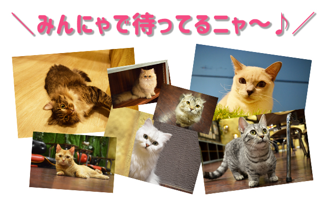 ミネットず