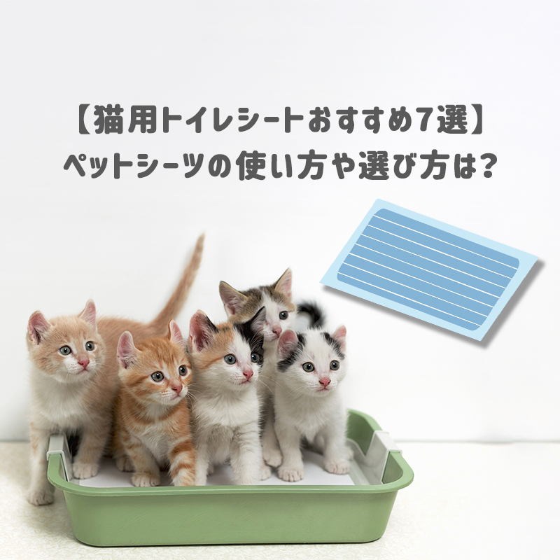 【猫用トイレシートおすすめ7選】ペットシーツの使い方や選び方は？