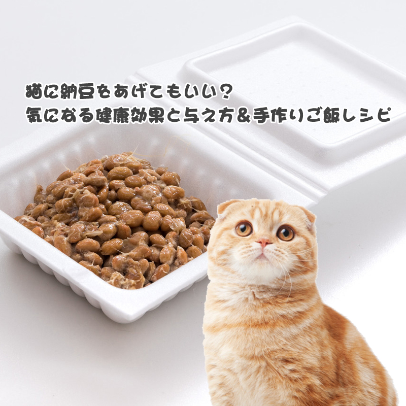 獣医師監修 猫に納豆をあげてもいい 気になる健康効果と与え方 手作りご飯レシピ 猫の総合情報サイト ペットスマイルニュースforネコちゃん