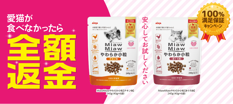 miawmiaw_campaign_2019_pc