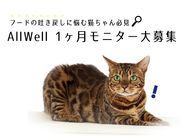 もにたーぼしゅう