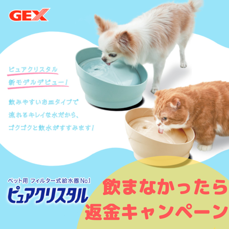 猫用 ジェックス GEX ピュアクリスタル コパン ベージュ □ キャット