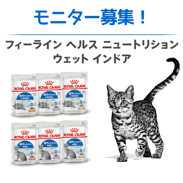 モニター
