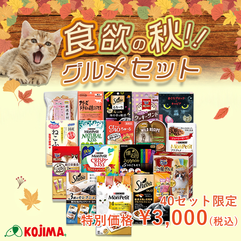 【40セット限定】食欲の秋！猫ちゃん大満足のグルメセットがコジマ通信販売で発売中！
