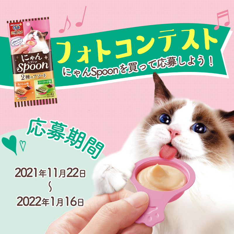 【愛猫がポスターに⁉】「にゃんスプーン発売記念フォトコンテスト」開催！