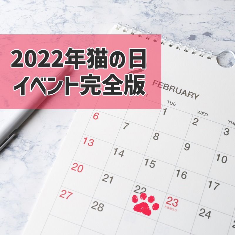 2022年猫の日イベント完全版！各地で行われる2月の猫イベント特集