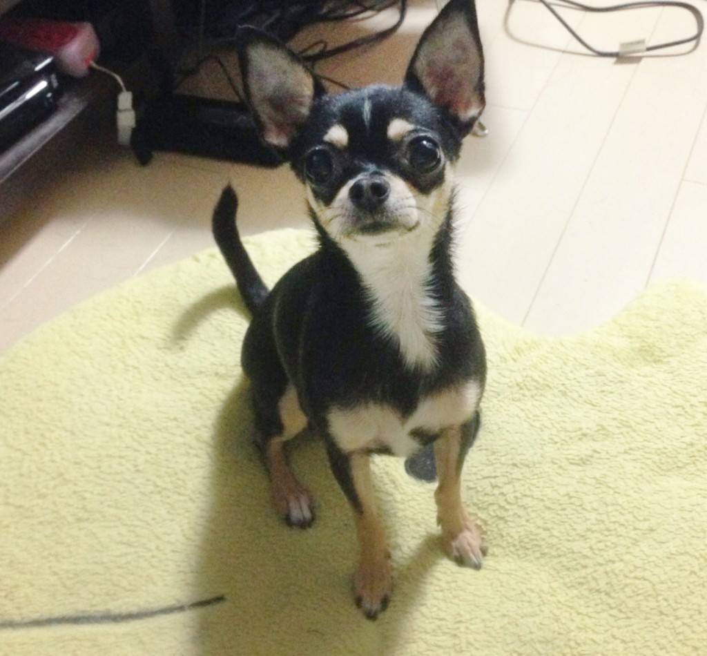 パティ5