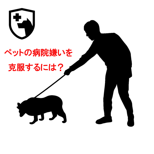 ペットの病院嫌いを克服するには 犬の総合情報サイト ペットスマイルニュースforワンちゃん