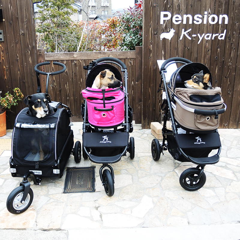 愛犬と過ごす京の時間。天然芝のドッグランが魅力の5室限定の宿 pension K-yard(ペンション　ケーヤード)