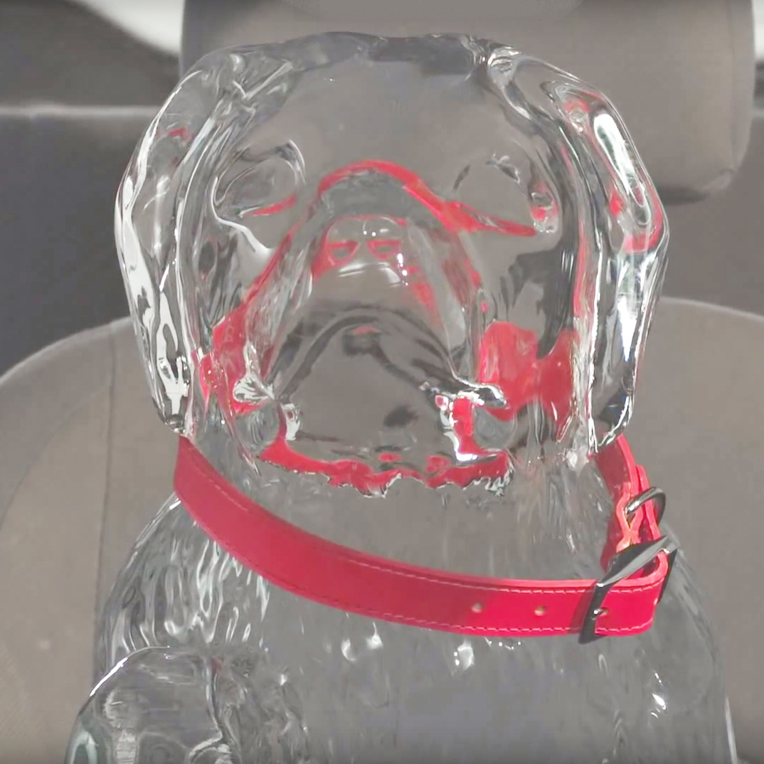 【猛暑が犬の命を奪う】暑い車内に犬を放置したらどうなるの…？実験映像から見る熱の怖さ