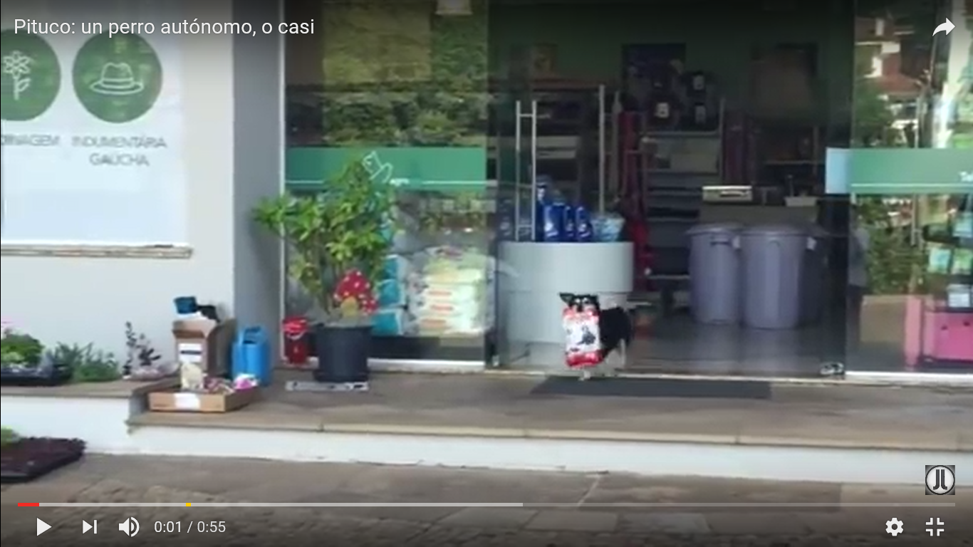 犬 驚き動画