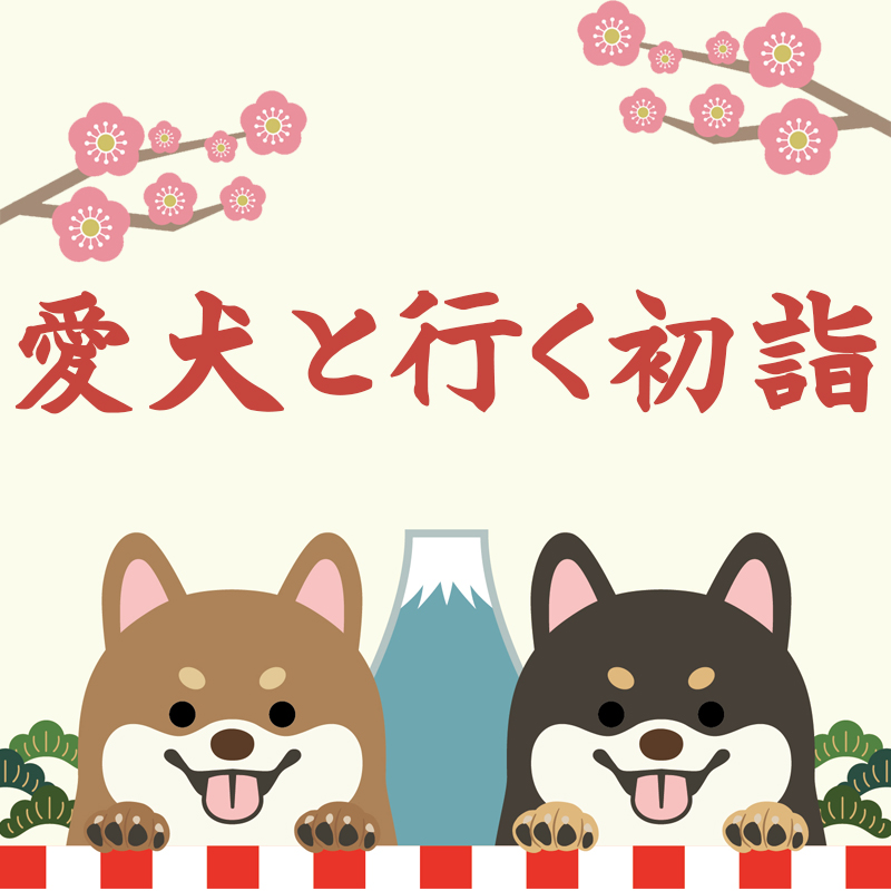【初詣に愛犬と行こう】ペットと一緒に行ける神社＆ペットのための可愛すぎるお守り特集／関東