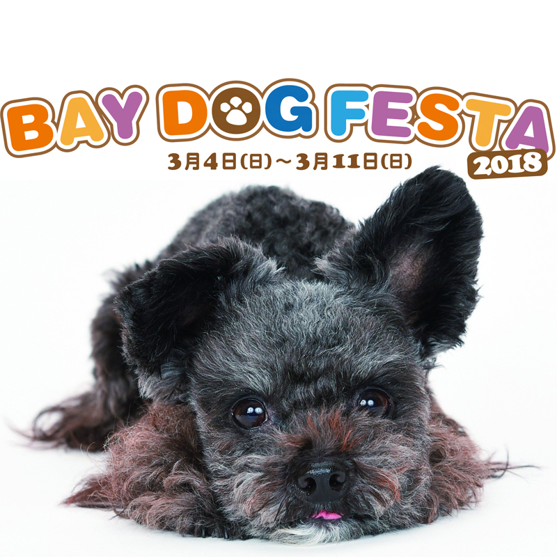 犬と飼い主のための祭典「BAY DOG FESTA 2018」横浜ベイクォーターで3月4日(日)～3月11日(日)開催！