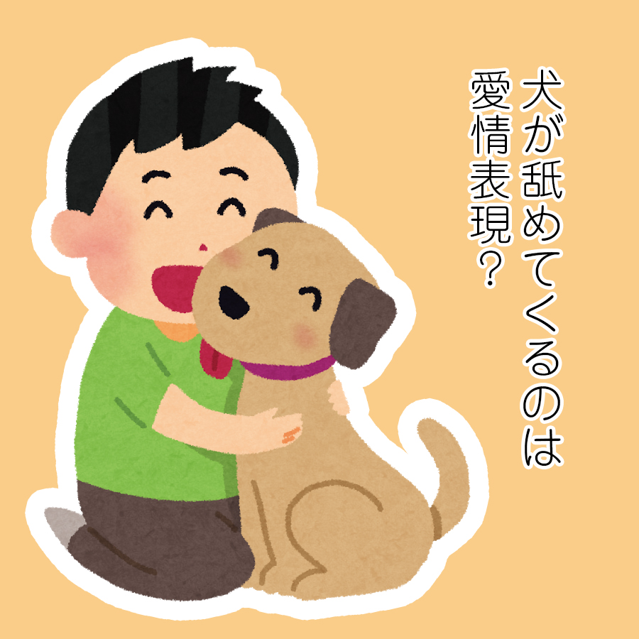 犬 耳 舐め て くる