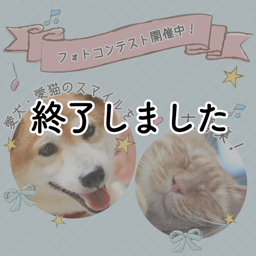 【8月6日まで】愛犬・愛猫・一緒に暮らしているペットの『ベストスマイル』フォトコンテスト♪わくわくの幸せ写真を大募集！