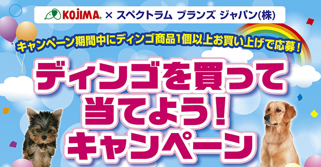 ハガキ